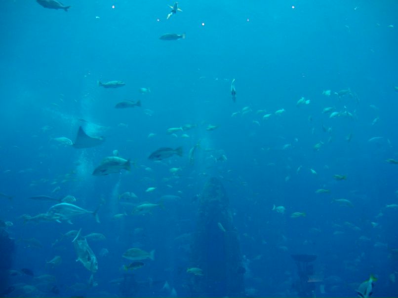 Серёга Агафонов | Харьков