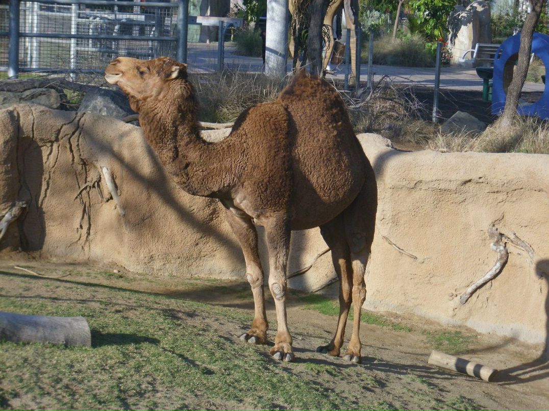 Alexandr Oseev | Magdeburg