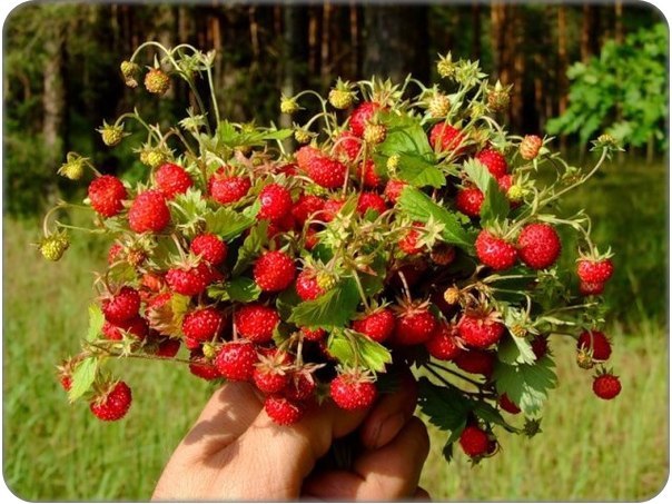 №57, Мария Цибенко, 43 года, Волгоград №57, Мария Цибенко, 43 года, Волгоград