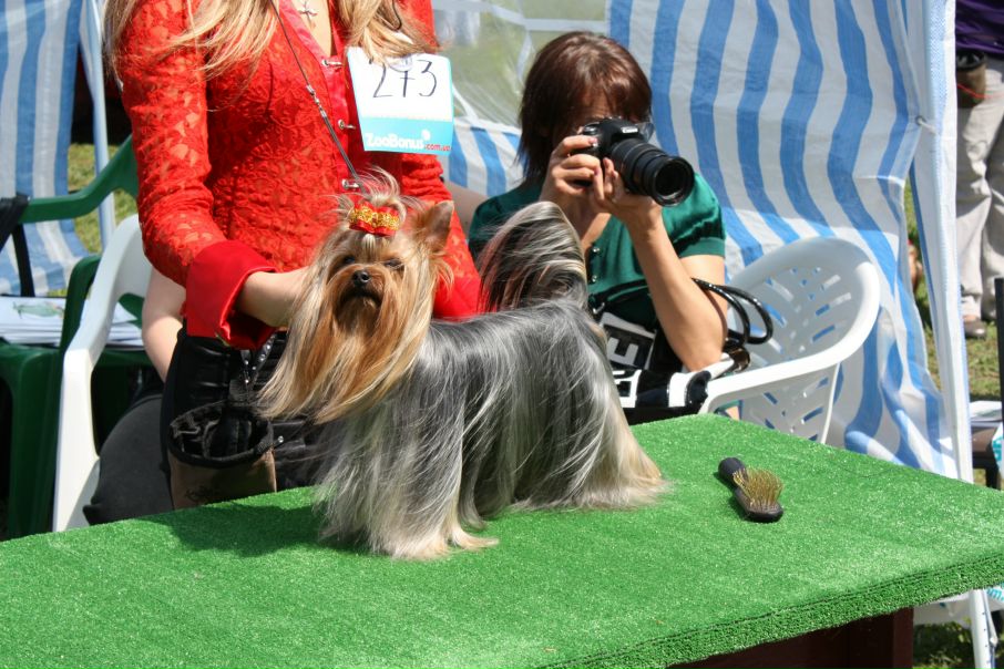 №23, Элеонора Алибаева, Москва №23, Элеонора Алибаева, Москва