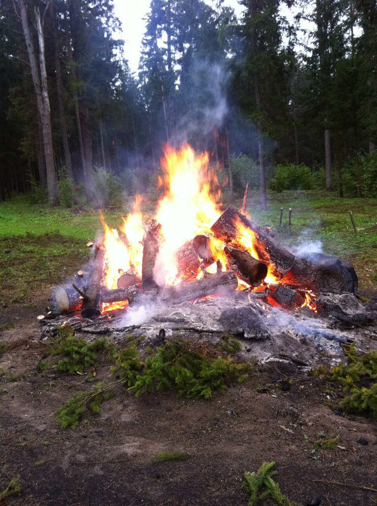 Мамед Мамедов | Москва