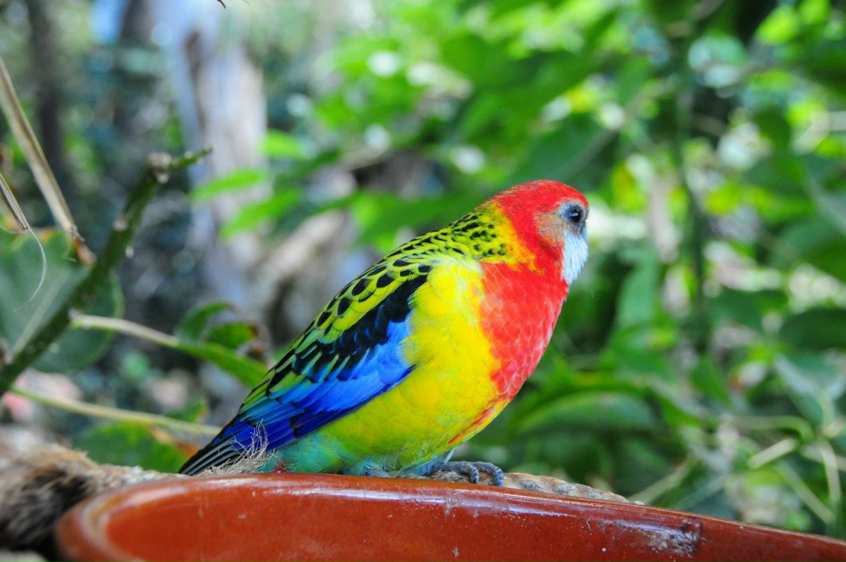 Varvara Sannikova потенциальный гений | Москва