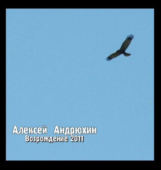 Максим Василёк | Пинск