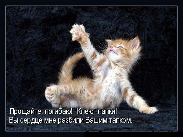 Светлана Уварова | Кировск