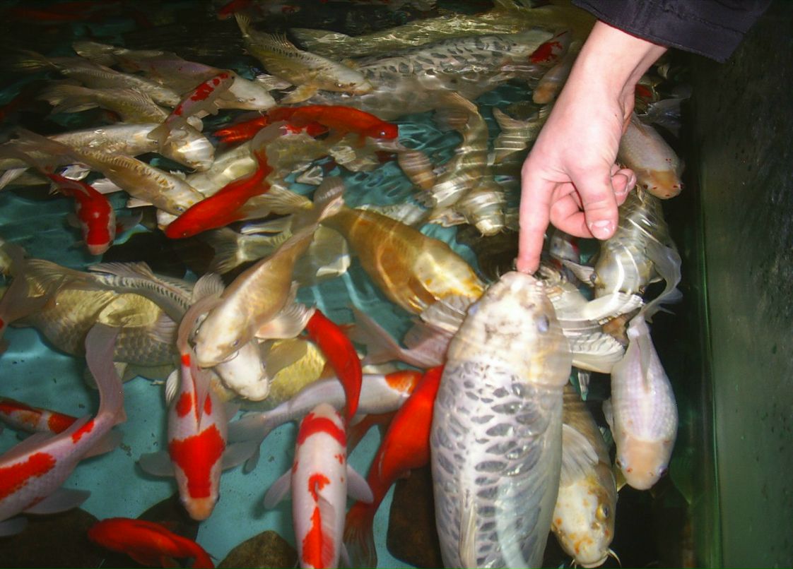 Сергей Пономарев ˙·٠✈ | Новосибирск