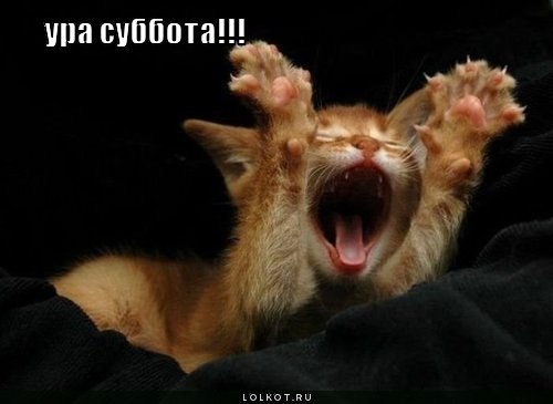 Юлия Власова | Ухта