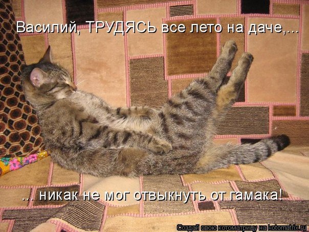 Оксана Креминская krox | Киев