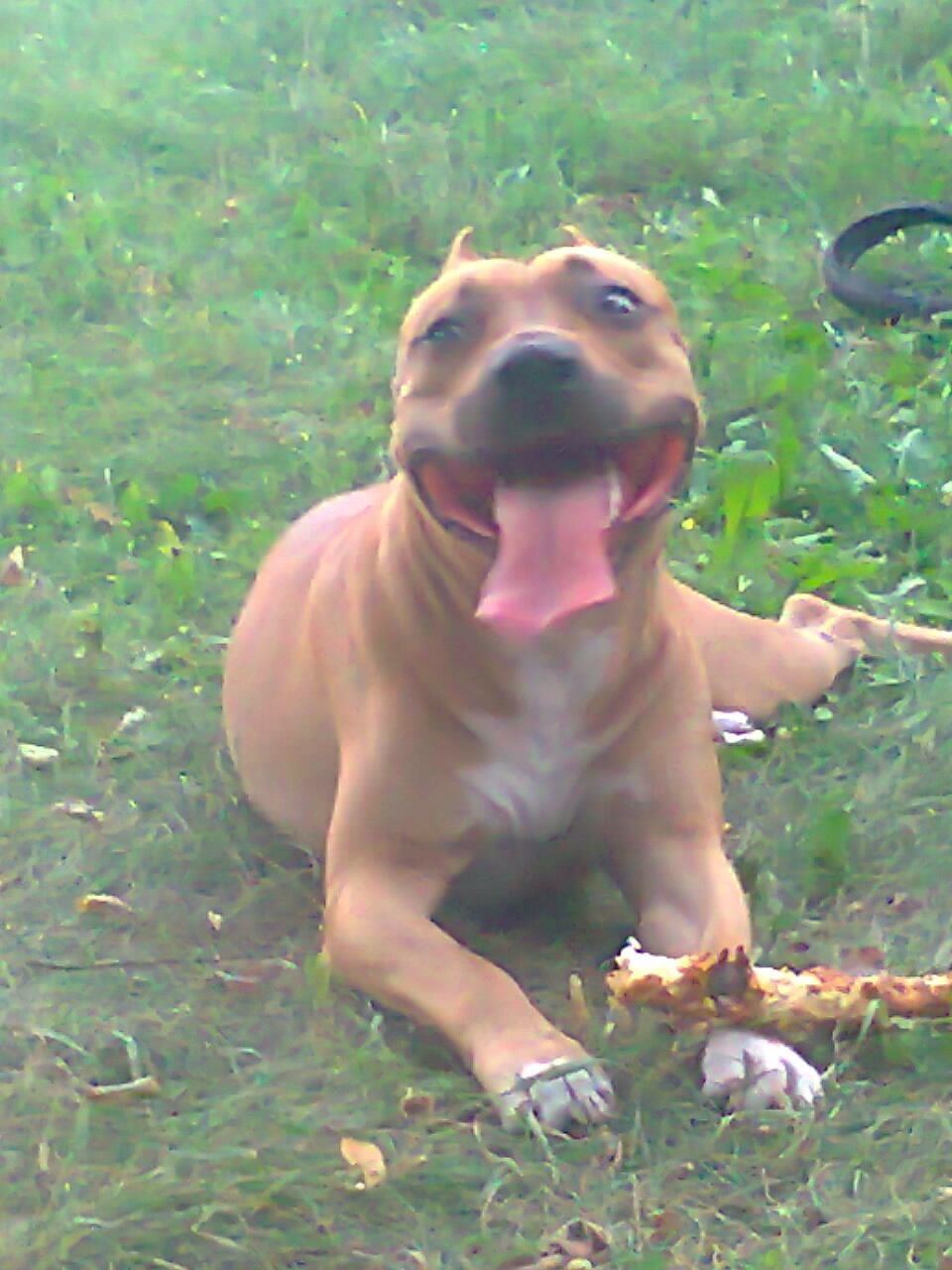 Максим Рейх Sam4ik | Харьков