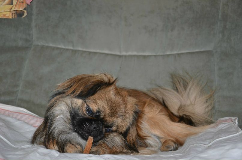 Николай Никонов _Юрич_ | Тюмень