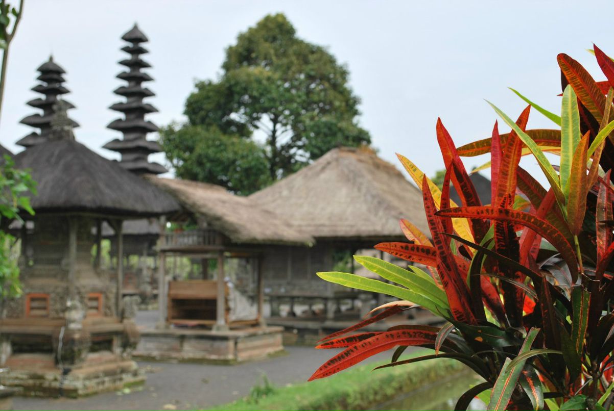 Наталья Эккарт | Солнечногорск