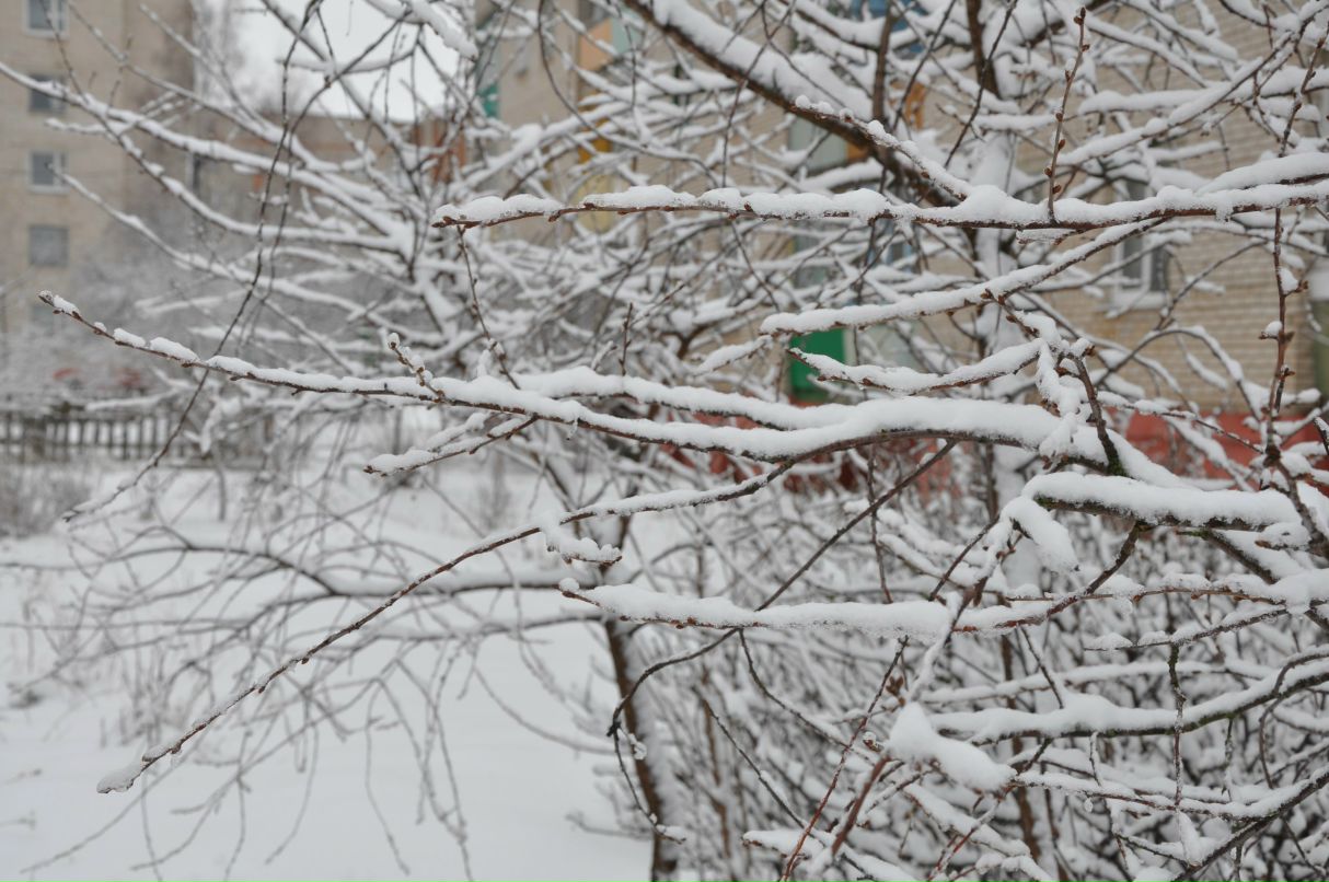 Сергей Автушко | Лепель