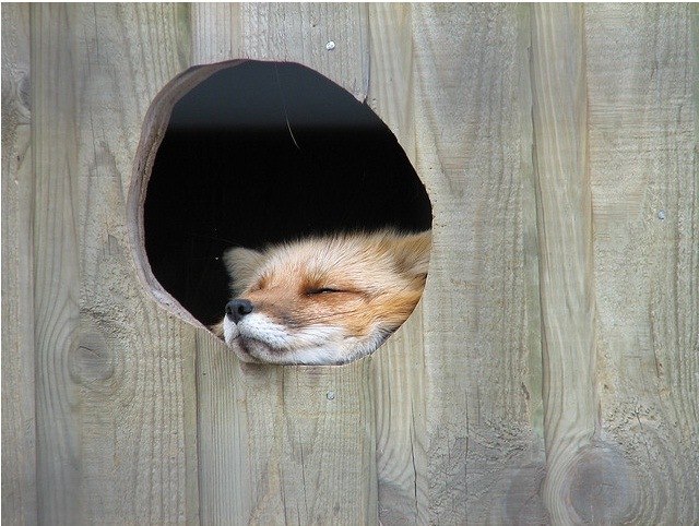 Карина Ганиева | Казань