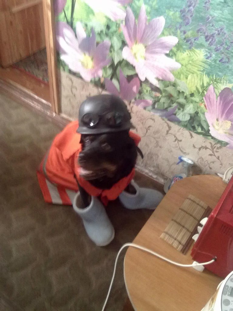 Олег Шевцов Александрович | Вольногорск