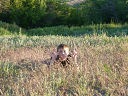 №4 Серёга Капустьянский 25.09.1998: профиль, фото, статус - ВКонтакте