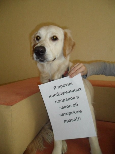 Alan Yussupov Life | Алматы