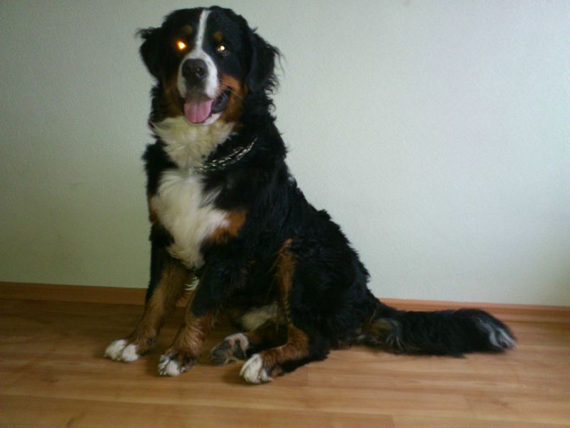 №63, Михаил Пащенко, 46 лет, Харьков №63, Михаил Пащенко, 46 лет, Харьков