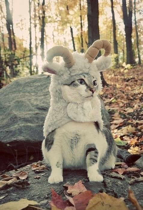 Тёма Мелдо | Петрозаводск