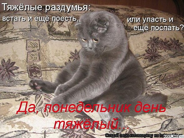 Оксана Суховейко | Новокузнецк