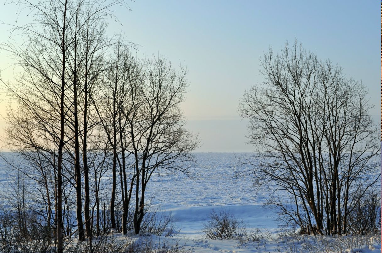 Марина Кветкова | Санкт-Петербург