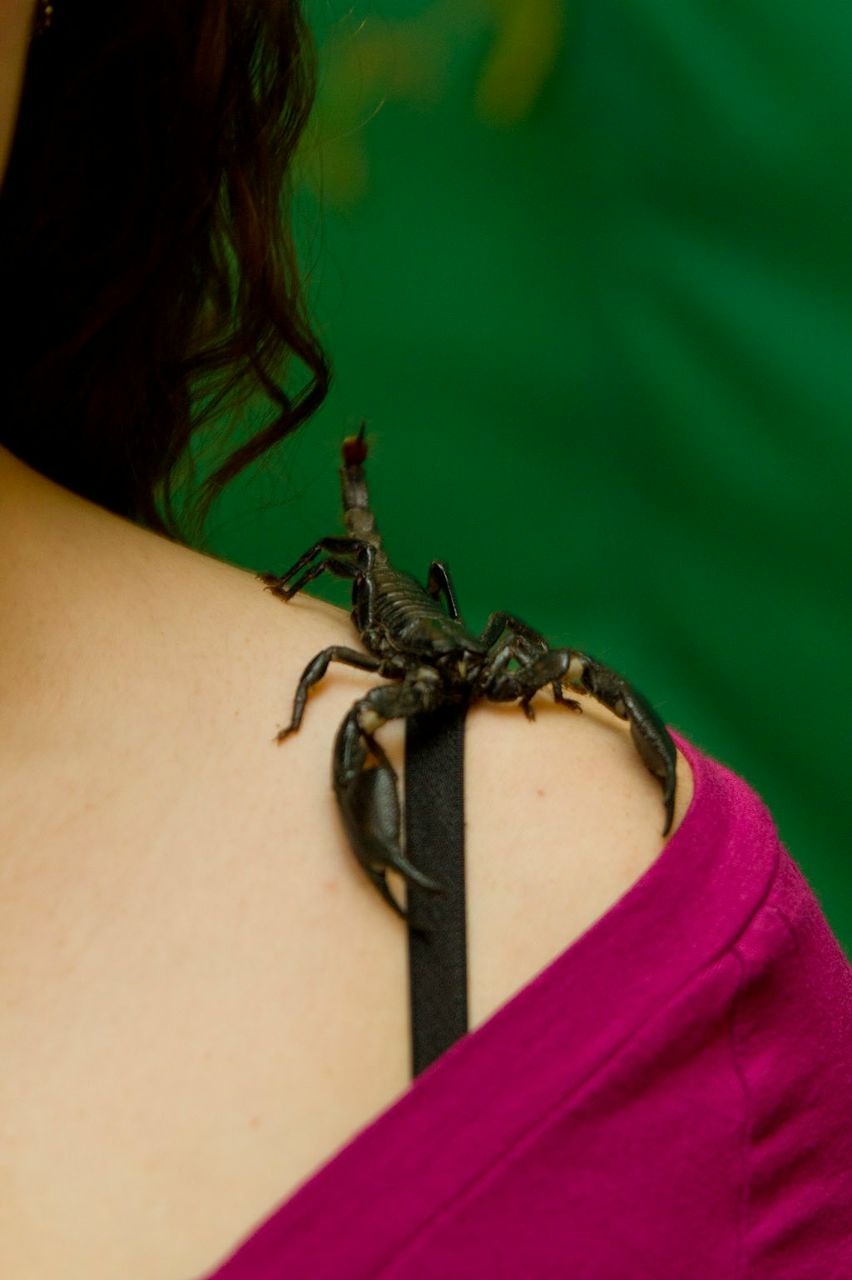 Наталья Потапова (Филиппова) | Казань