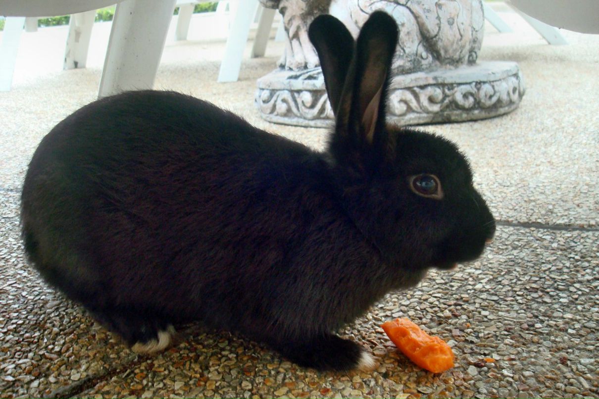 Вера Колесник | Братск