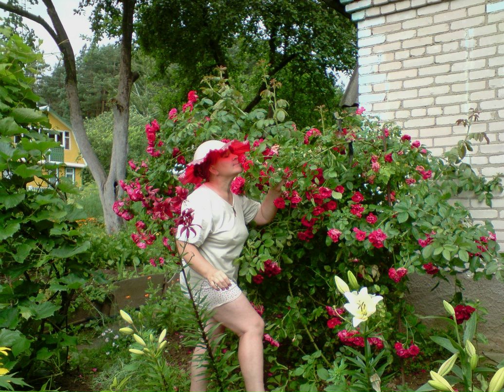 Людмила Пахомчик | Орша