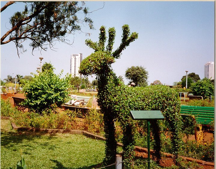 Венера Гаянова | Уфа