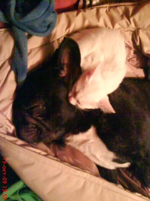 Марина Казбек | Печоры