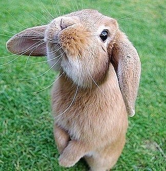 Наталия Карван | Хмельницкий