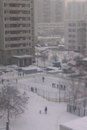 Мария Гладкова, 36 лет, Волгоград, Россия, 29.07.1988