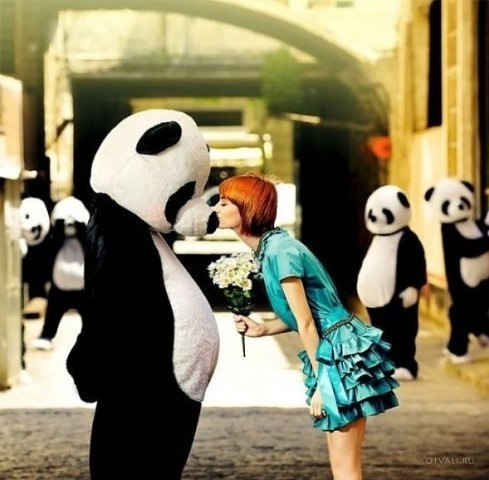 Юля Назаренко панда-пух | Одесса