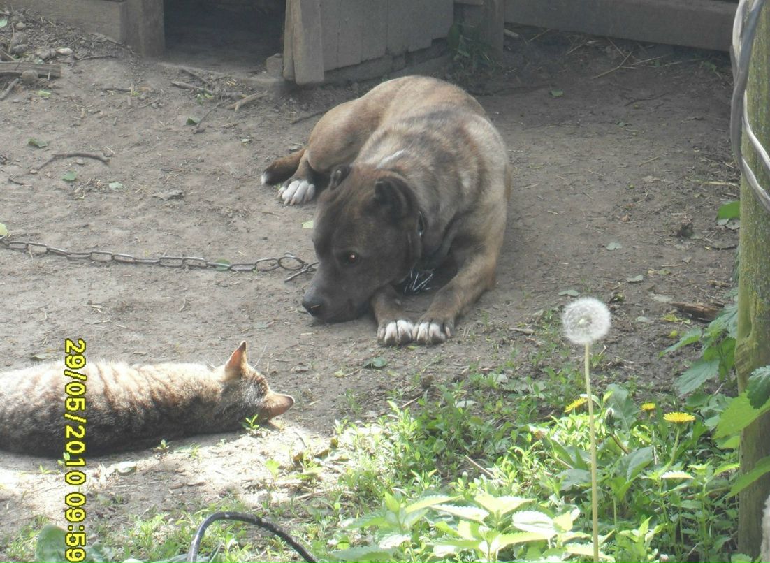 Алексей Тринко Александрович | 