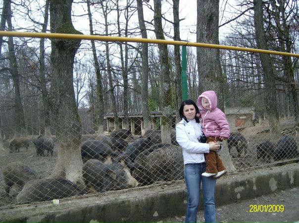 №17, Оксана Рущак (медвідь), 40 лет №17, Оксана Рущак (медвідь), 40 лет