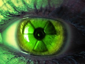 Володимир Сініченко | Львов