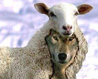 Володимир Сініченко | Львов