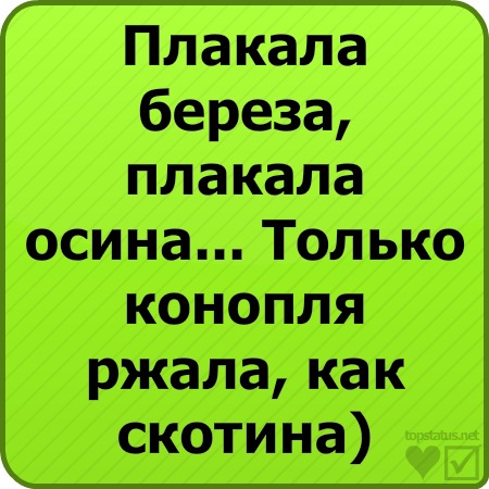 №10, Лена Лена, Ашдод №10, Лена Лена, Ашдод