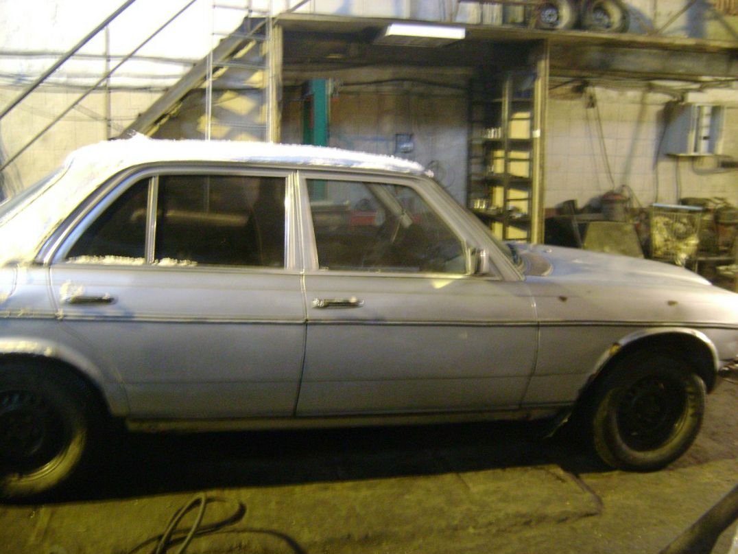 Александр Кучма | Санкт-Петербург