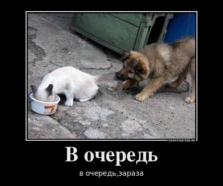 Вера Шиллер Анатольевна | Омск