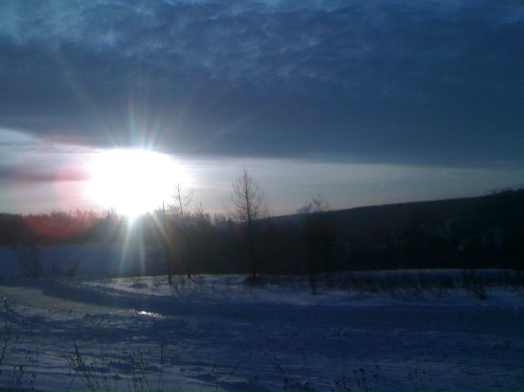 Анна Мусатова | Москва