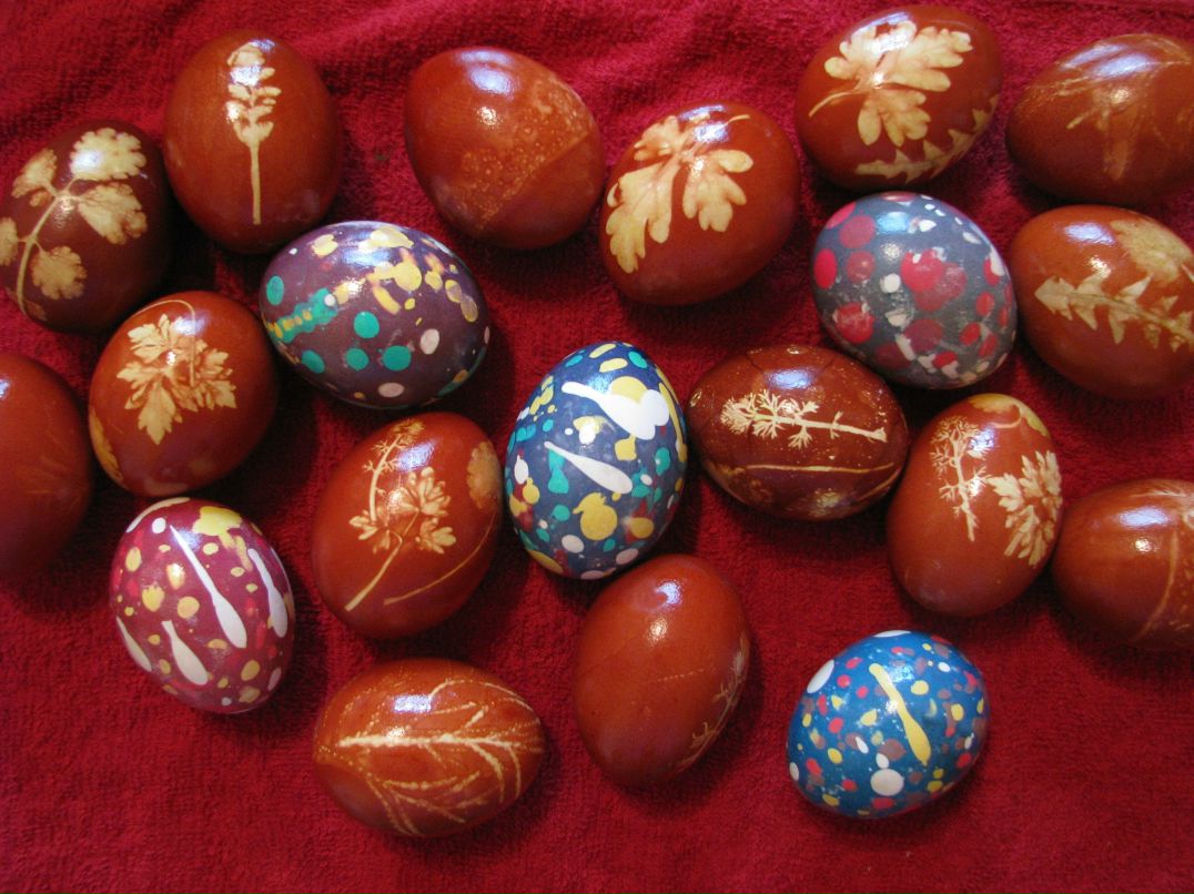 Ольга Вакульская | Пенза