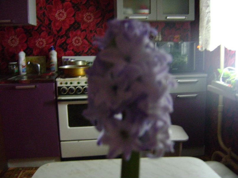 Светлана Зеленская | Норильск