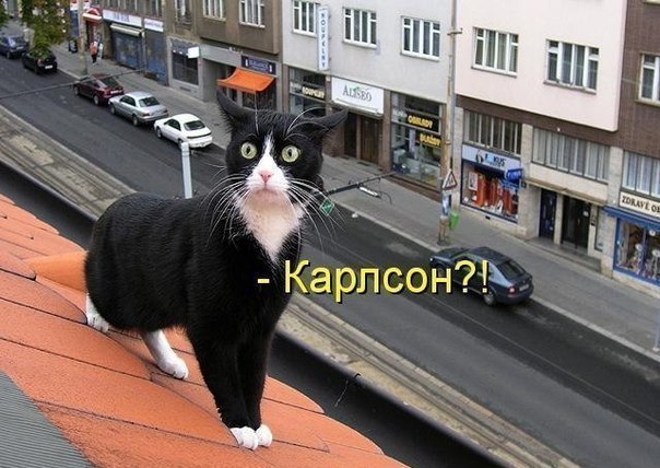 Таня Лапова | Липецк