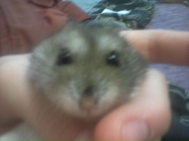 №34, Настя Брылина, Ульяновск №34, Настя Брылина, Ульяновск