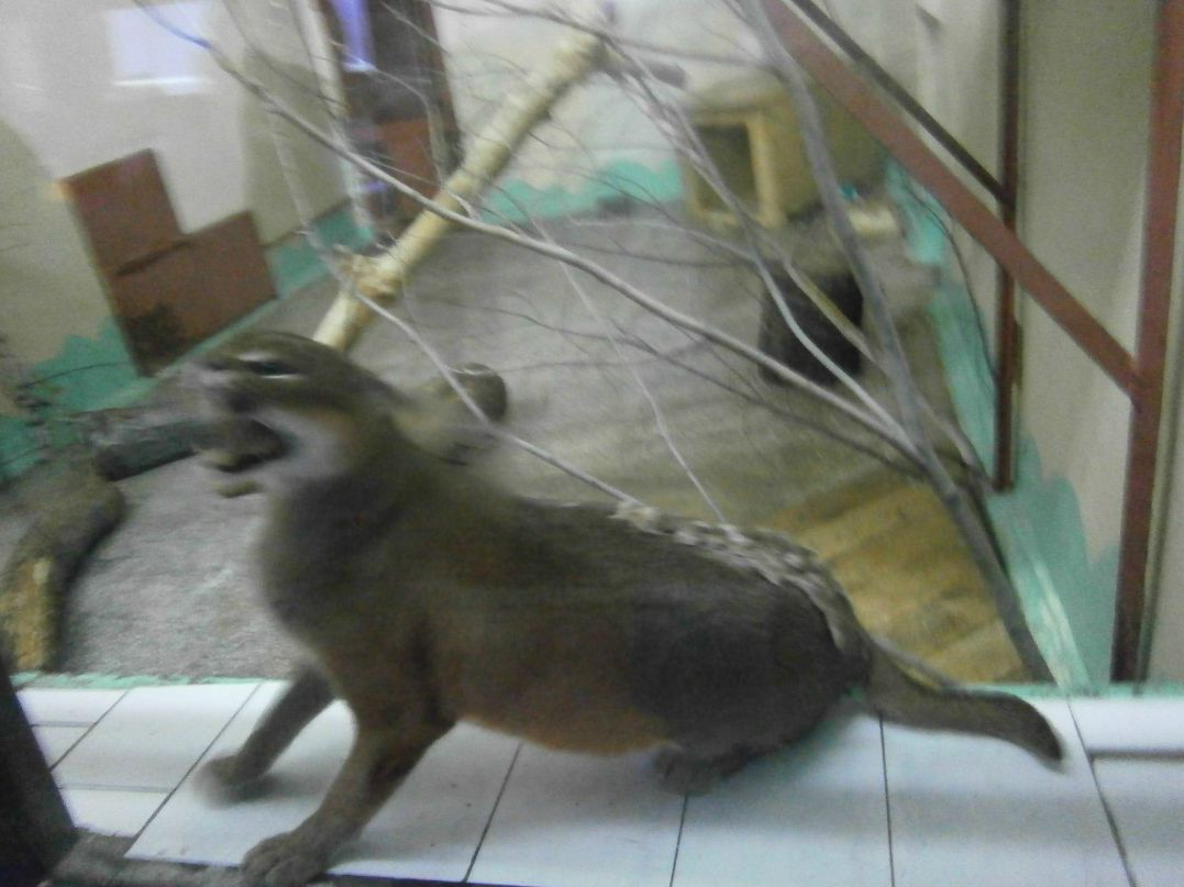 Сергей Белоножко | Екатеринбург