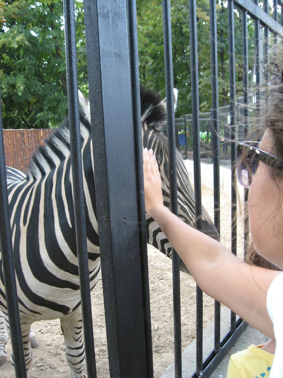 Анна Беляева | Мелитополь