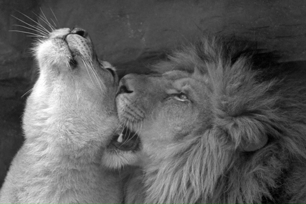 Maria Lakner | Москва