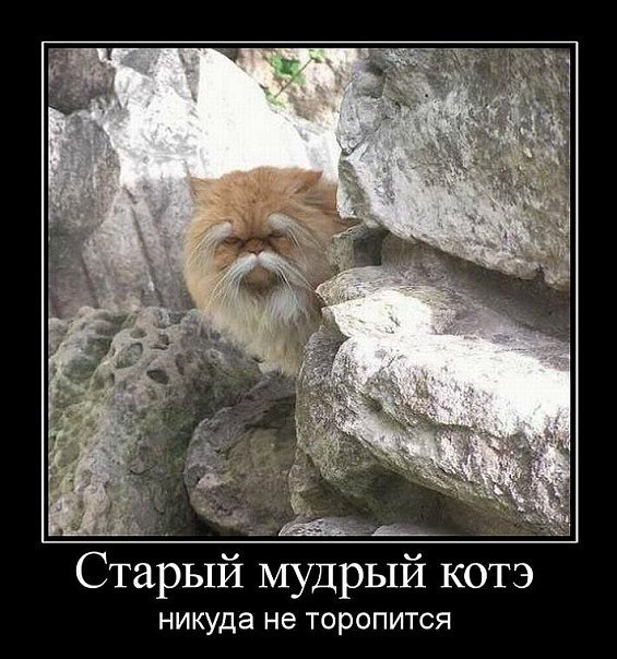 Артем Шикайлов | Новосибирск