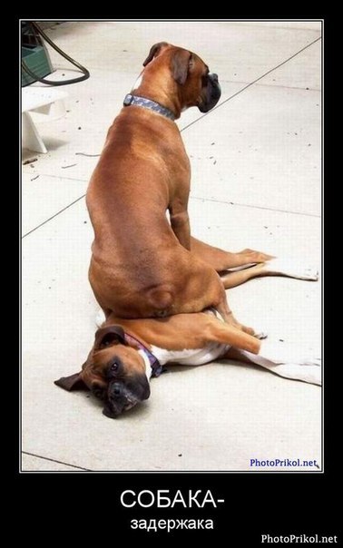 Юля Капелюшок | Киев