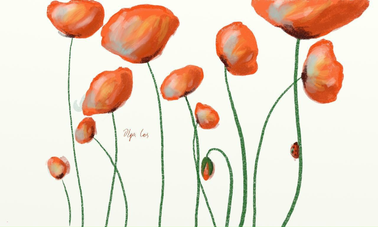 Ольга Прокопович | 