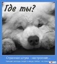 Фотография Юрченко Александры